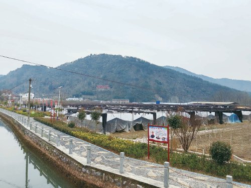 强村富民的"三驾马车"|集体经济_新浪财经_新浪网