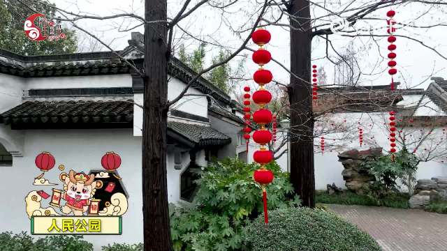 大红灯笼高高挂，喜气洋洋年味浓