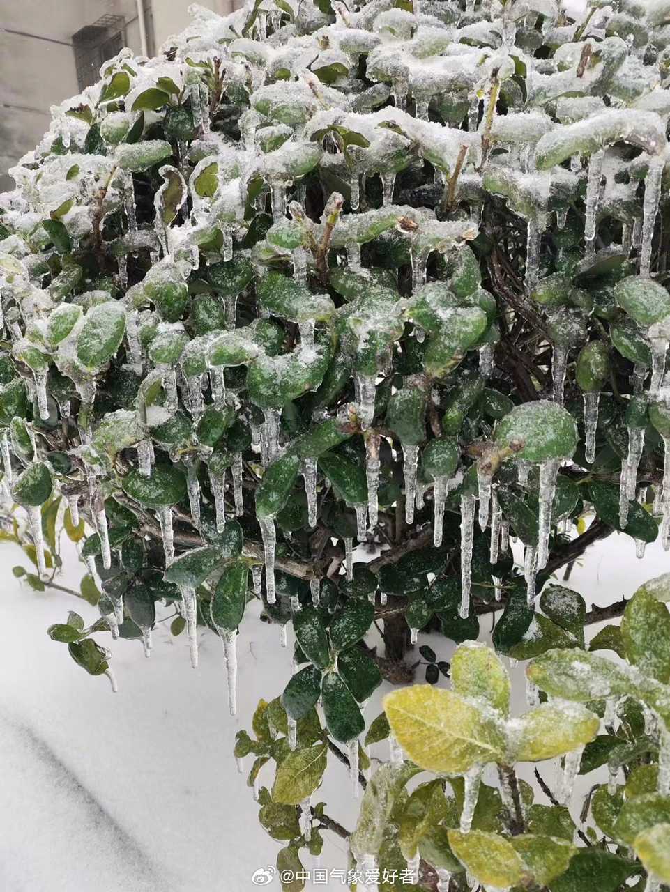湖南北部的岳阳、常德既有冻雨又有暴雪……|湖南省|冻雨|岳阳市_新浪新闻
