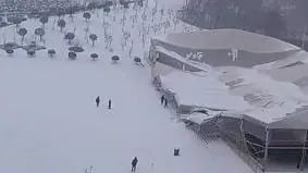 "脸都被咬烂……"女子凌晨直播引众怒!|直播