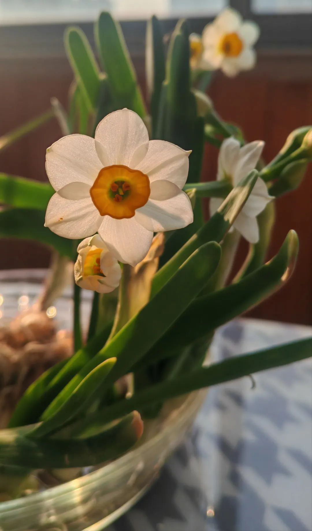 小布摄影团|买特产,办年货,寻祥龙,满年味!来看小布团