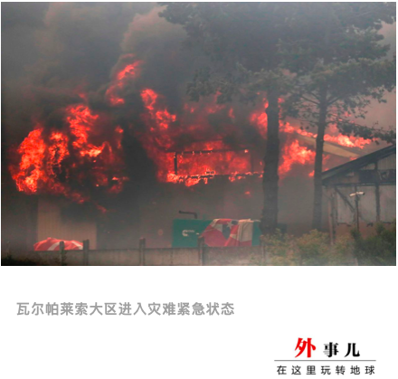 小说：青帽杵作传人遭怪尸缠身？三枚大印一出手，死人开口道真相