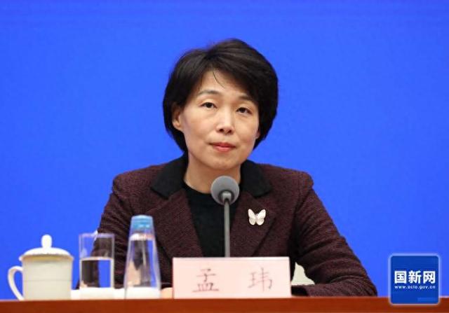 国家发展改革委法规司司长孟玮.国新网截图