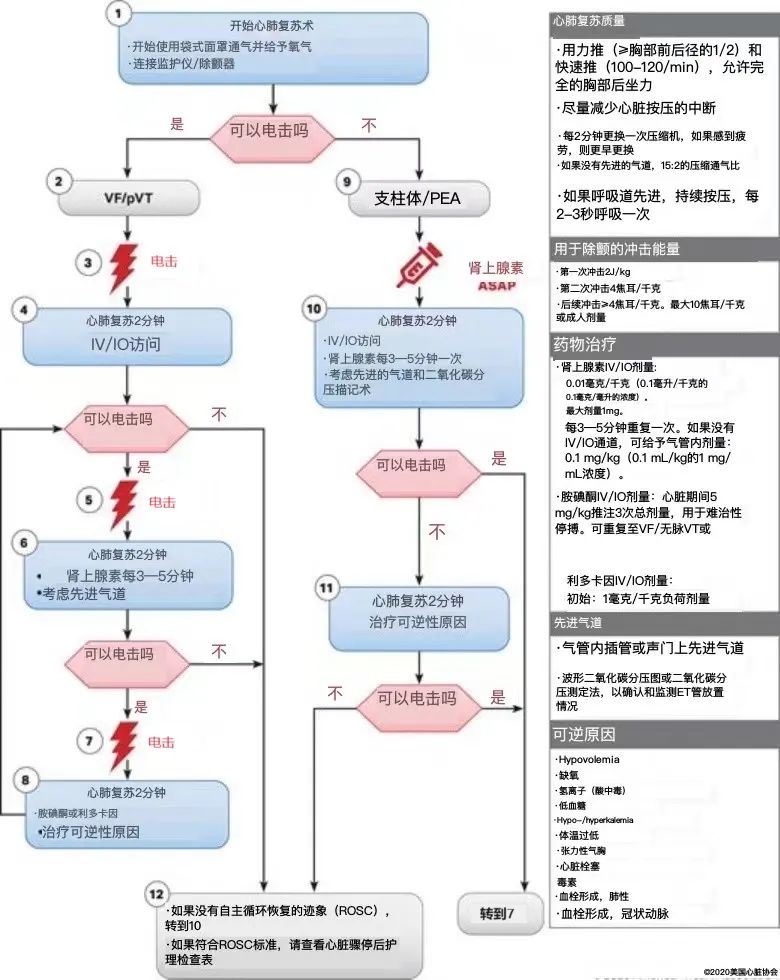 怎么挑选婴儿复苏器新生儿复苏指南vs儿科指南，住院新生儿复苏用哪个？_https://www.jmylbn.com_新闻资讯_第6张