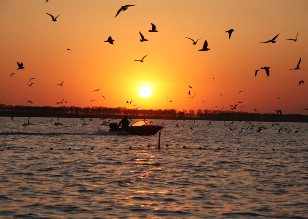 查干湖景区获评国家5a级旅游景区|查干湖_新浪财经_新浪网