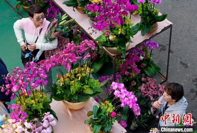 图为市民在年宵市场内选购年宵兰花.中新网记者 侯宇 摄