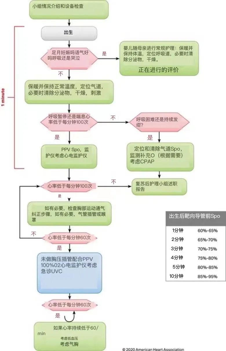 怎么挑选婴儿复苏器新生儿复苏指南vs儿科指南，住院新生儿复苏用哪个？_https://www.jmylbn.com_新闻资讯_第7张