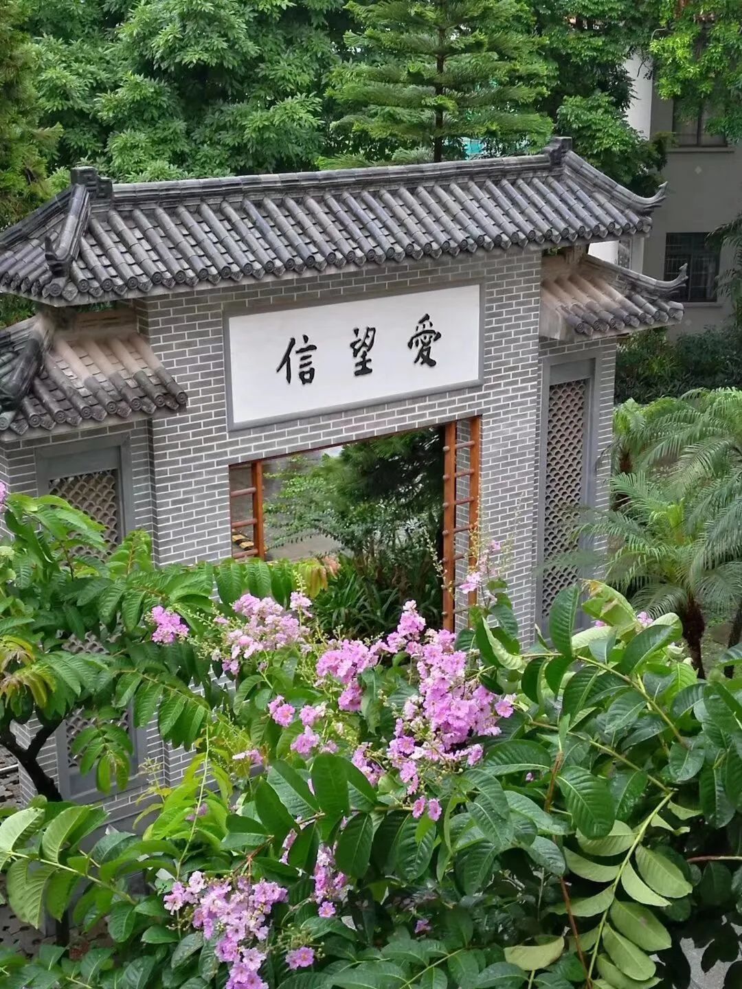 扩优提质|广州市培英中学:拔尖创新人才培养,促进学生全面发展