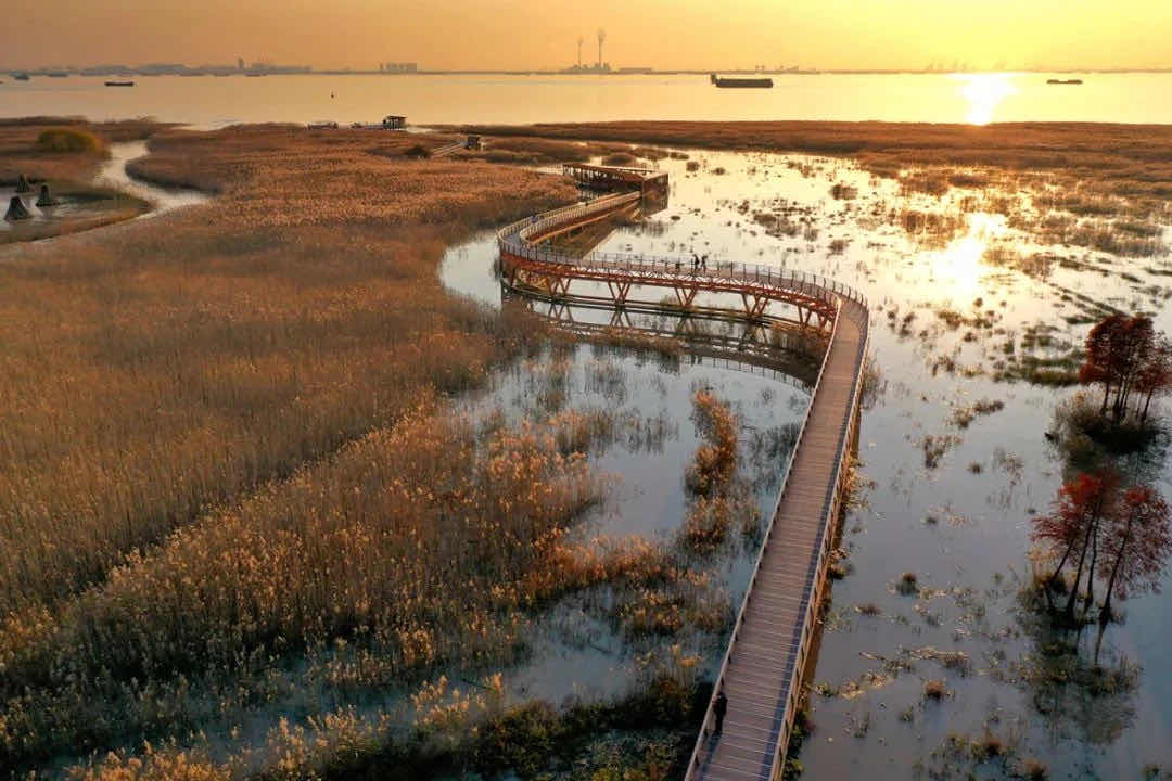 上海崇明西沙明珠湖景区成功创建"国家5a",底气何在?