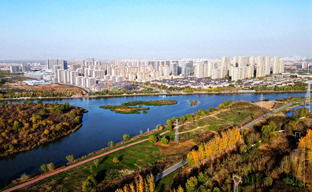 2023年11月4日,山东省东营市.视觉中国 资料图