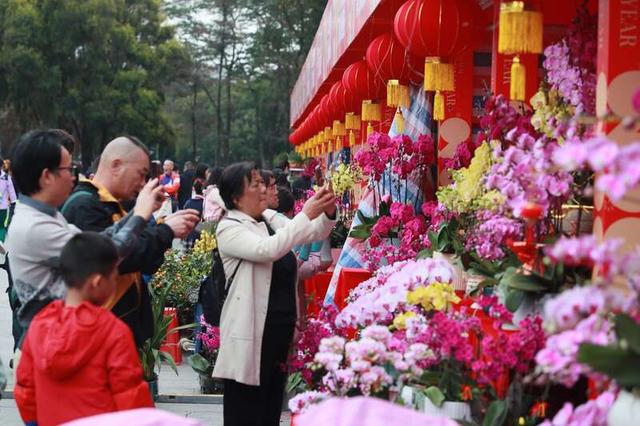在广州"行花街",感受家门口浓浓"年味"|广州市_新浪财经_新浪网