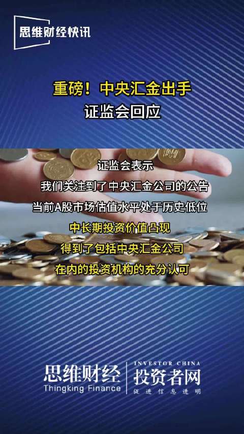 中央汇金公司2月6日发布公告,充分认可当前A股市场配置价值……|中央汇金公司|A股市场|指数基金_新浪新闻