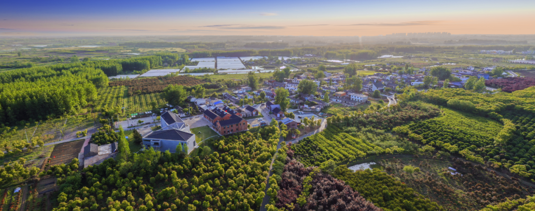 图| 崔岗艺术小镇 旌阳 摄