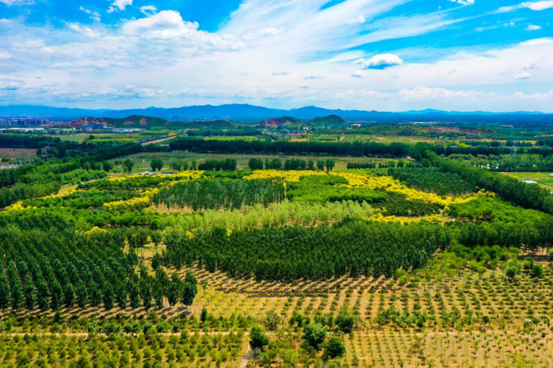 顺义区达到国家森林城市标准