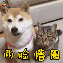 来源：航旅纵横微信公众号