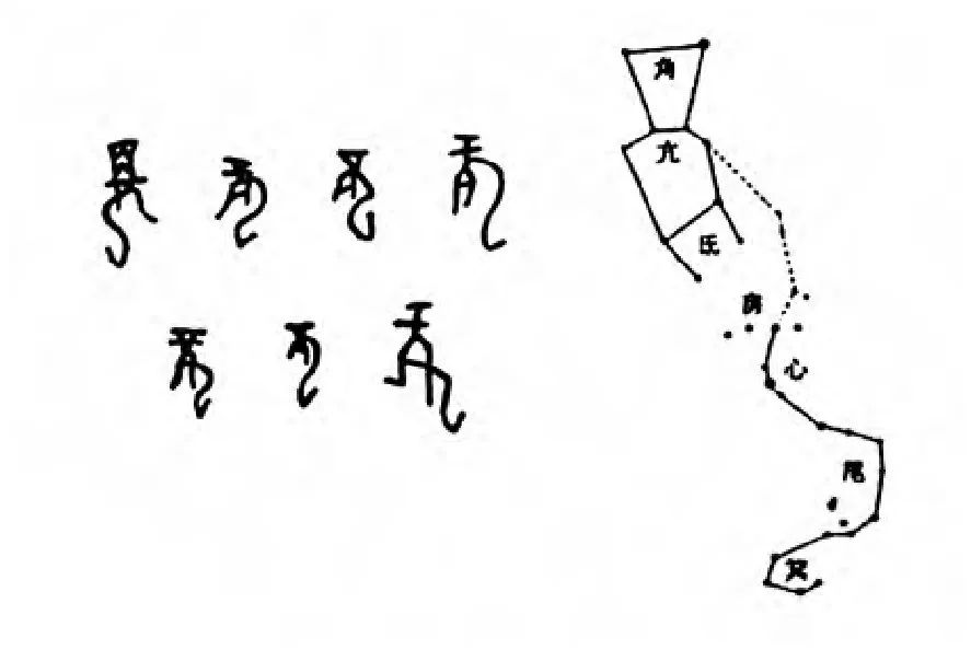 图3 商代甲骨文的龙字与苍龙星宿