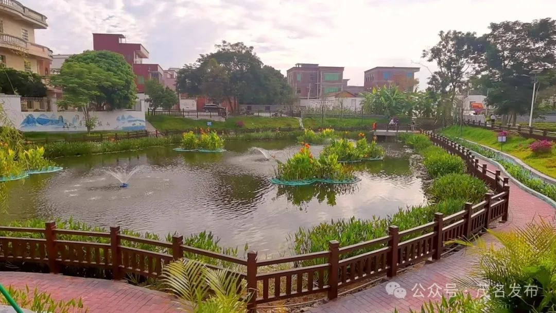 农村生活污水治理如何破局?这样打造"茂名样板"
