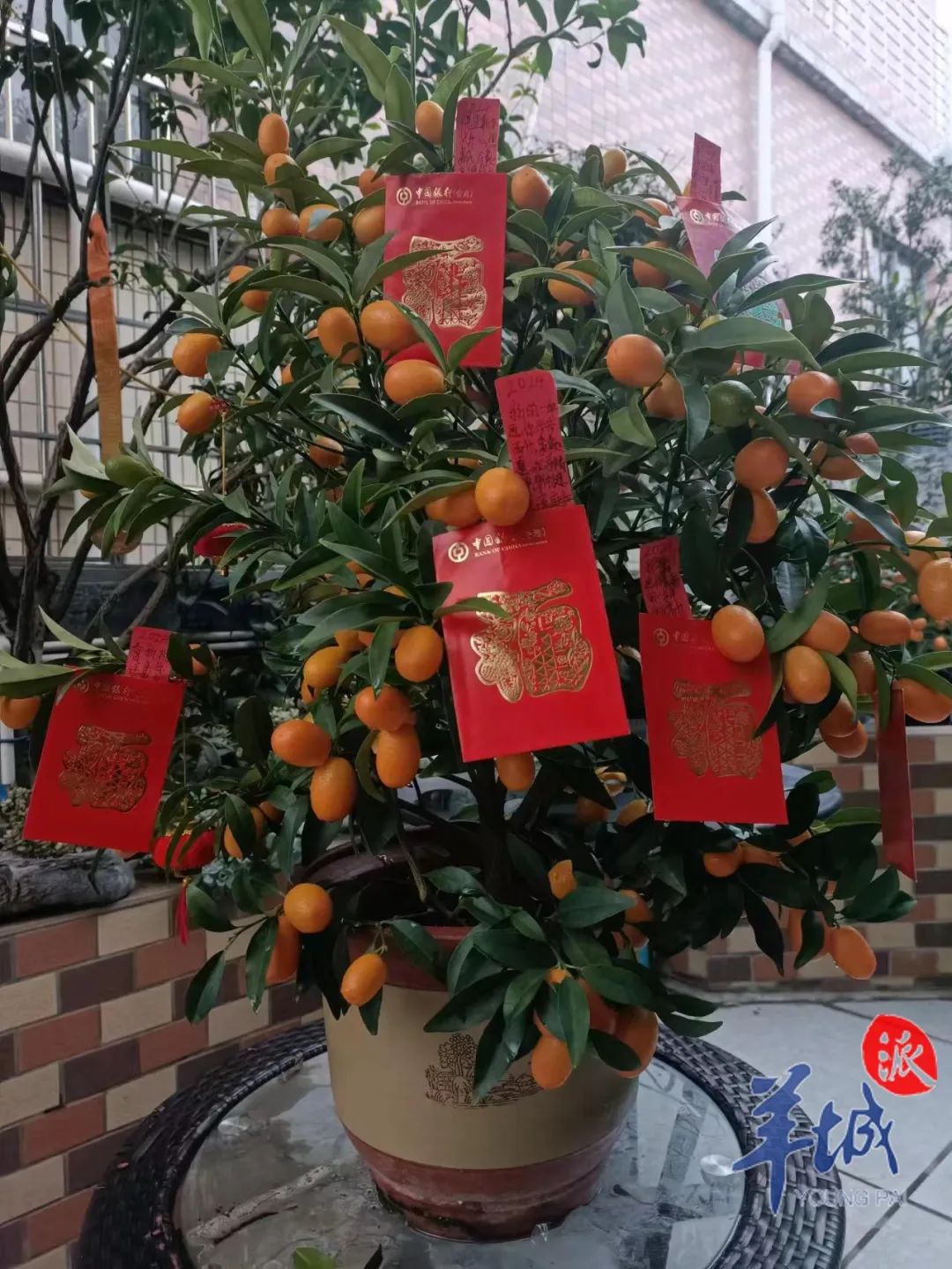 逗利是,送大桔,英歌舞……广东年俗知多少?|广东省_新浪财经_新浪网