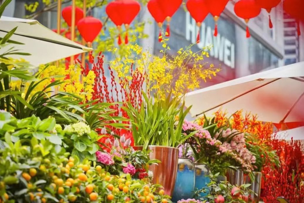 逛吃过大年丨去北京商场逛花市、赶大集，把“福”带回家