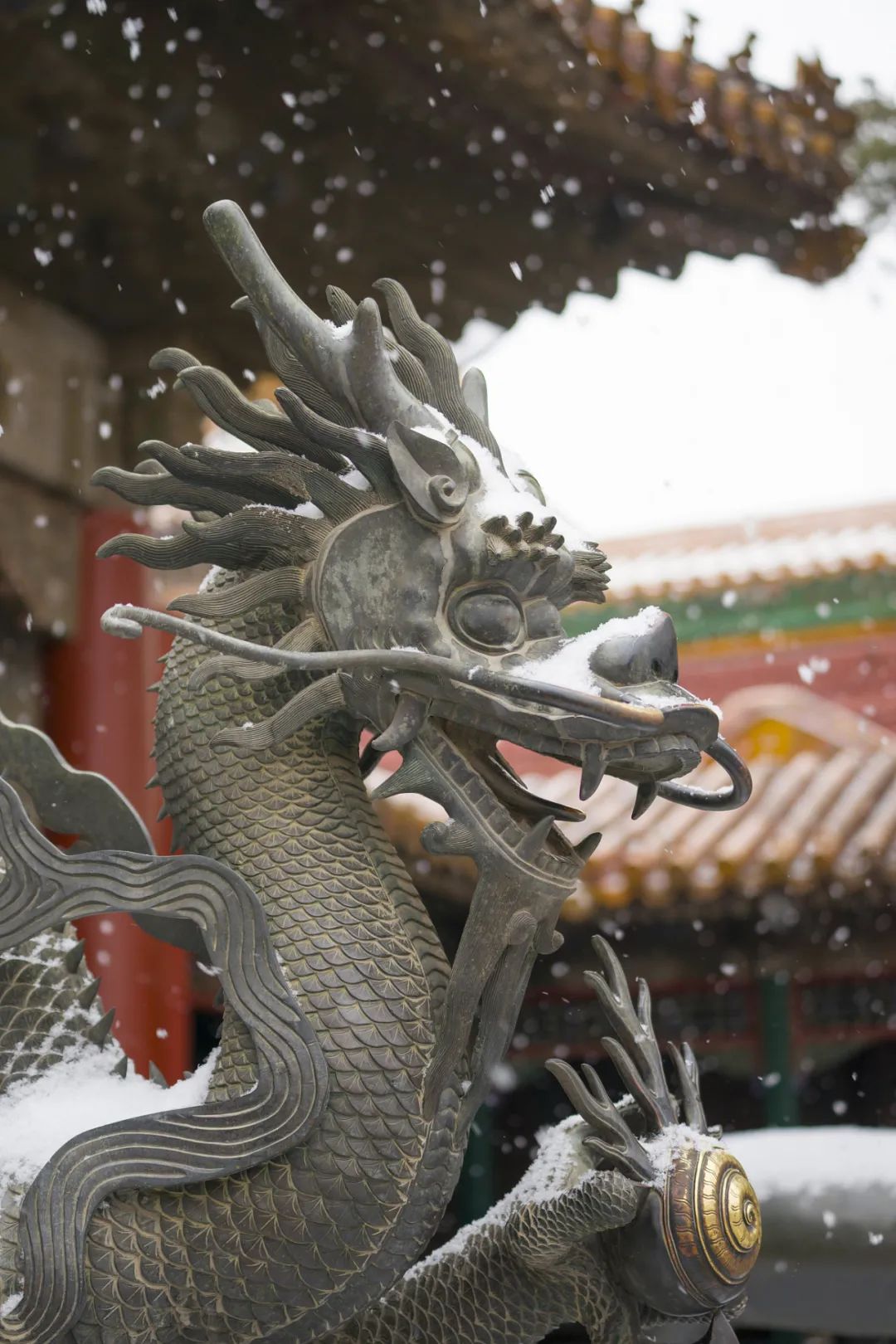 明清,戏珠铜龙,故宫博物院.