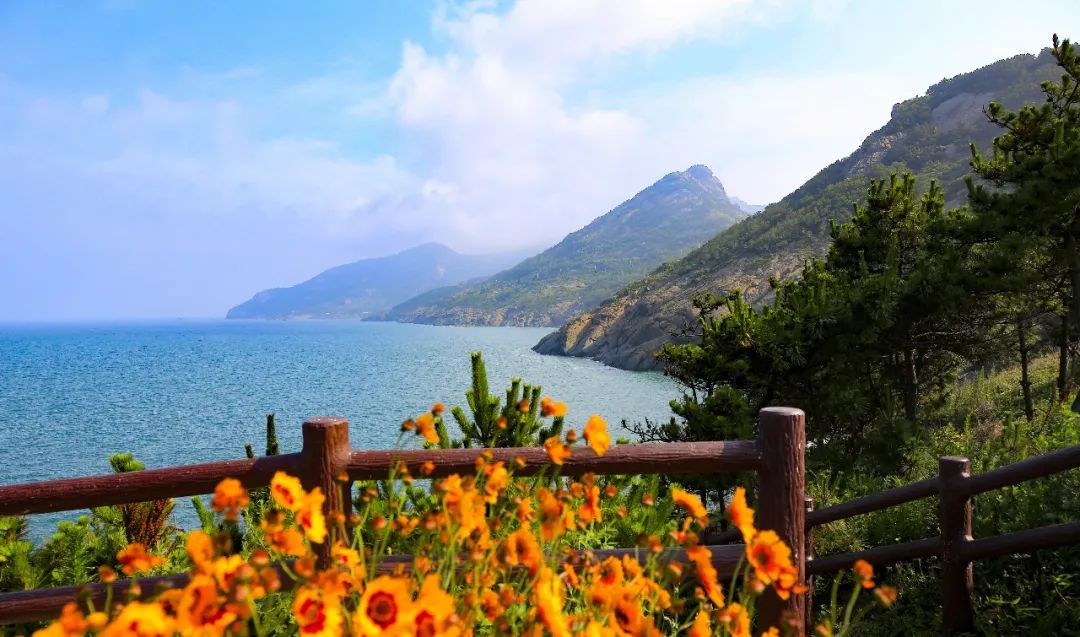 灵山岛美景。图片来源：灵山岛省级自然保护区