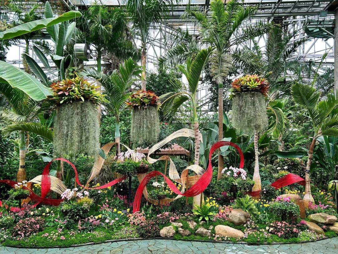 图片来源:上海植物园