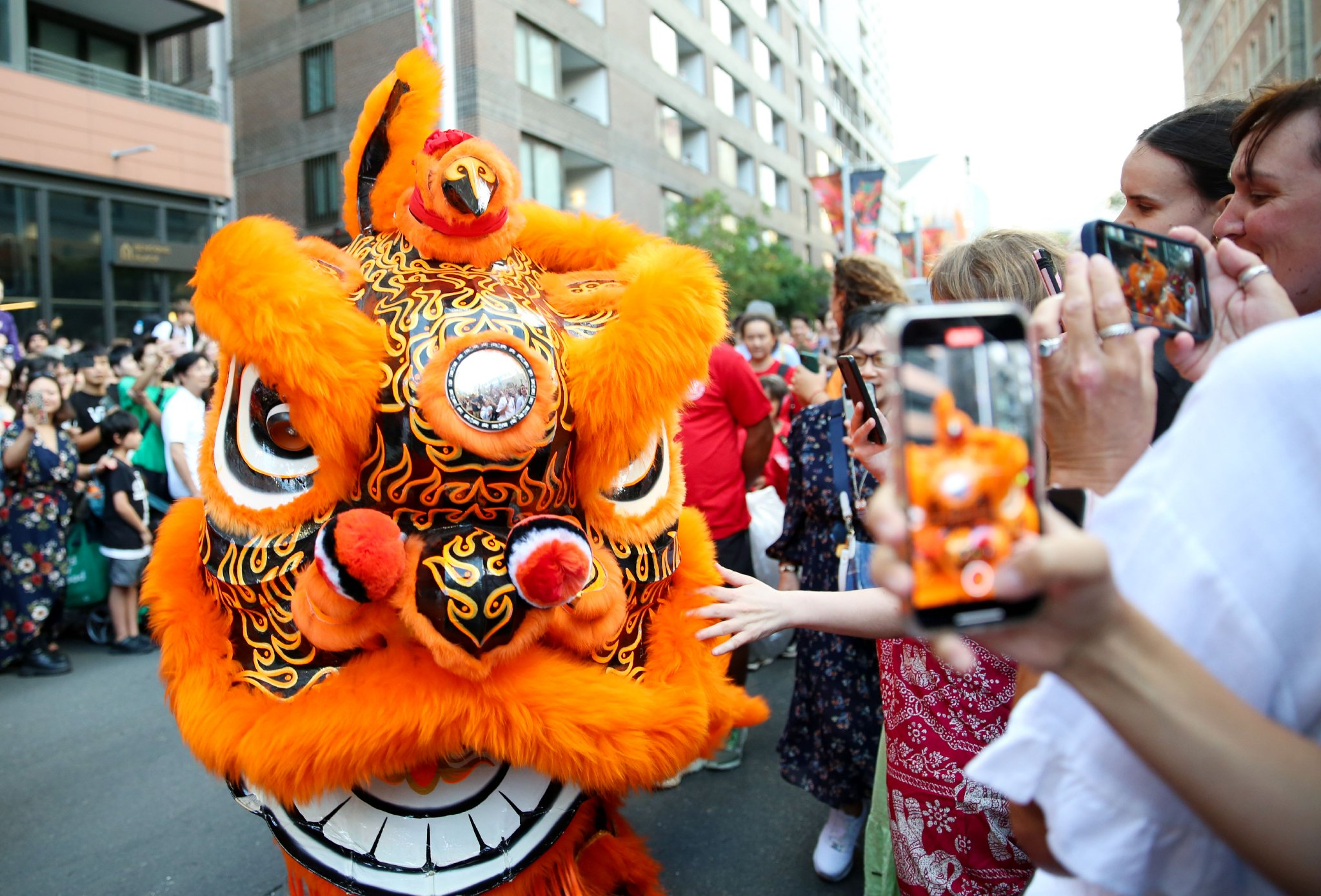 龙腾四海|彩龙舞动,澳大利亚各地庆祝中国农历新年