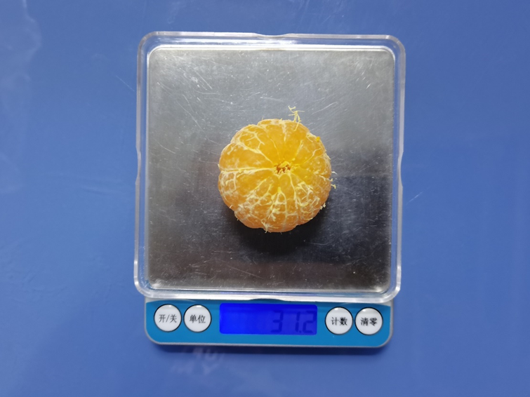 大砂糖橘 30克左右(直径约4.5cm).图片来源:作者提供