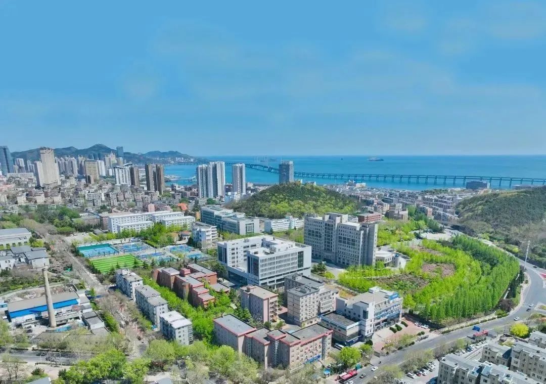 新一年!总要来趟沙河口吧!|大连市_新浪财经_新浪网