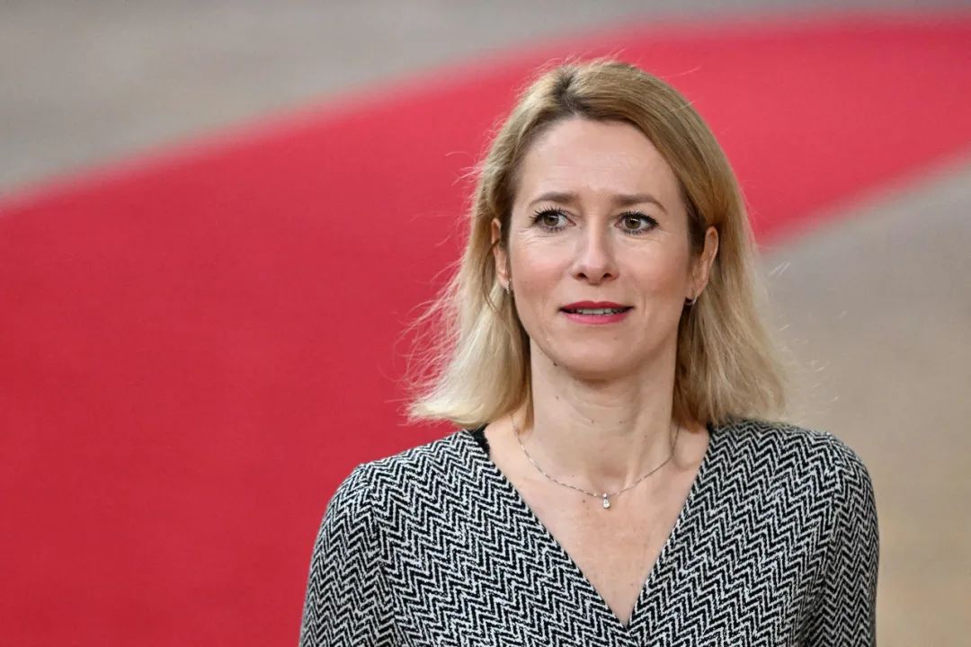 爱沙尼亚总理卡娅·卡拉斯 资料图.图源:视觉中国