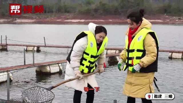 捞鱼啦!“人放天养”的大金湖有机鱼,膘肥肉嫩回味无穷|鱼_新浪新闻