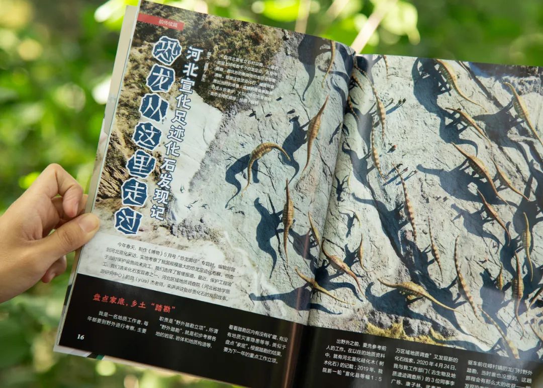 42岁郭晶晶养娃细节,罕见曝光:这才是真正的豪门"富养