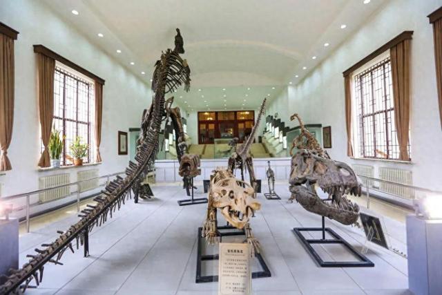 向市民游客开放,游客在这里可以看长春龙,鹦鹉嘴龙,嘉荫卡龙真骨化石