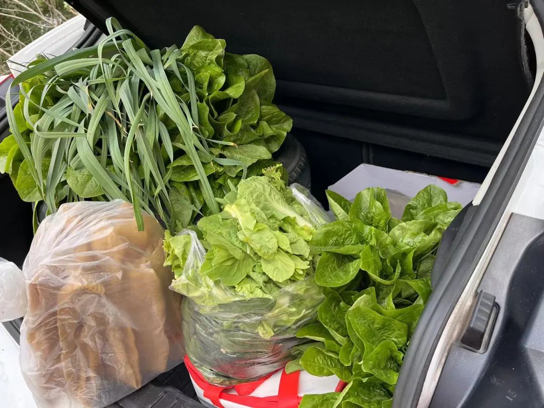 一后备箱的新鲜蔬菜.周小平 摄