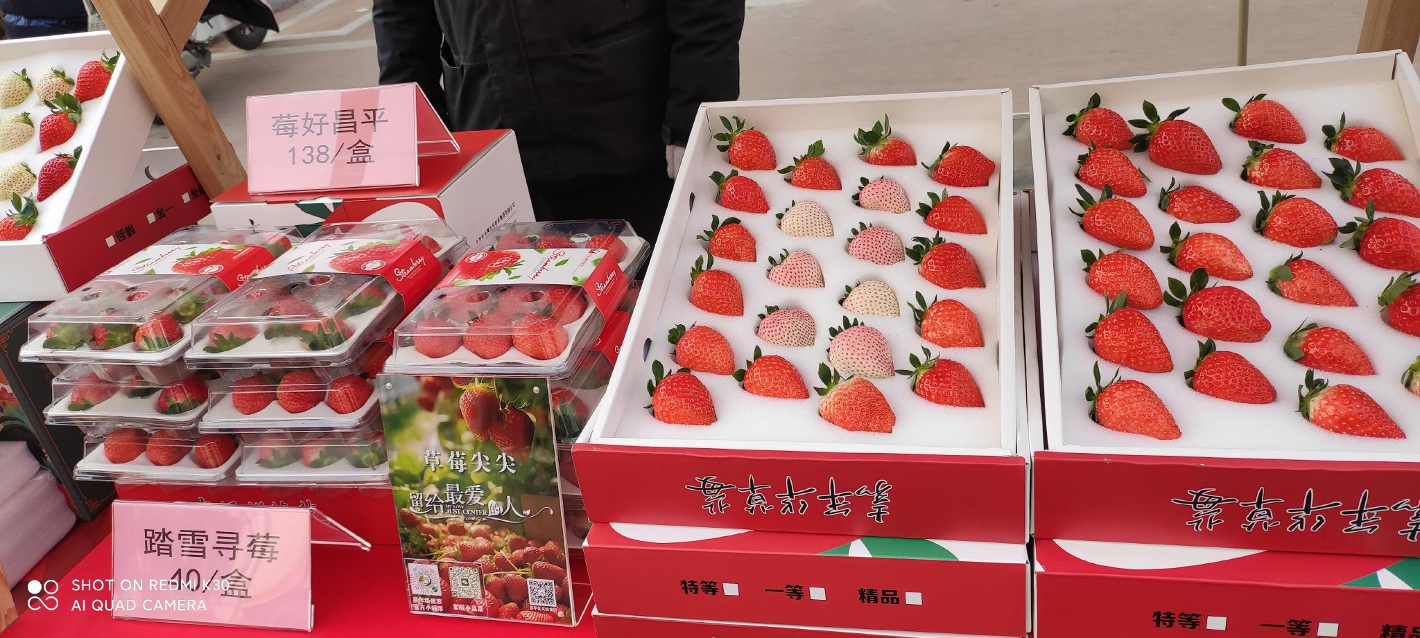 第五届昌平草莓节即将开启,2月24日来昌平乐多港逛大!