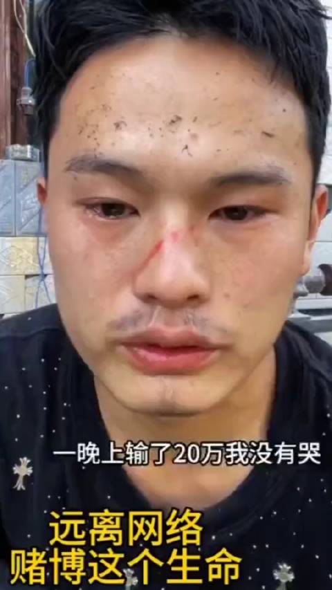 赌狗不值得一点同情，60块钱你不再博一把？|狗_新浪新闻