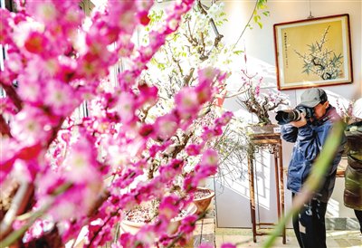 本报记者&nbsp;吴迪&nbsp;摄