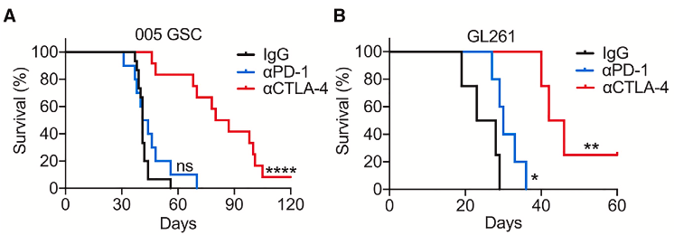 图丨aCTLA-4 疗法以 CD4+T 细胞依赖性的制脑肿瘤方式延长胶质母细胞瘤的生存期（来源：Immunity）