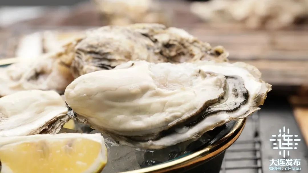 2024年庄河市人口_正面“硬刚”全面守护!中船海装迎战“摩羯”(2)