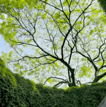 〓 图源：抖音用户@娱乐课代表孙小寒