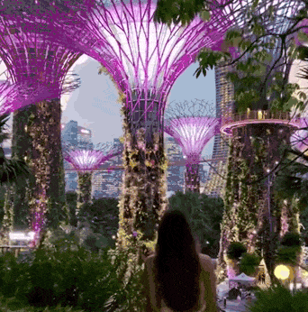 〓 图源：抖音用户@娱乐课代表孙小寒