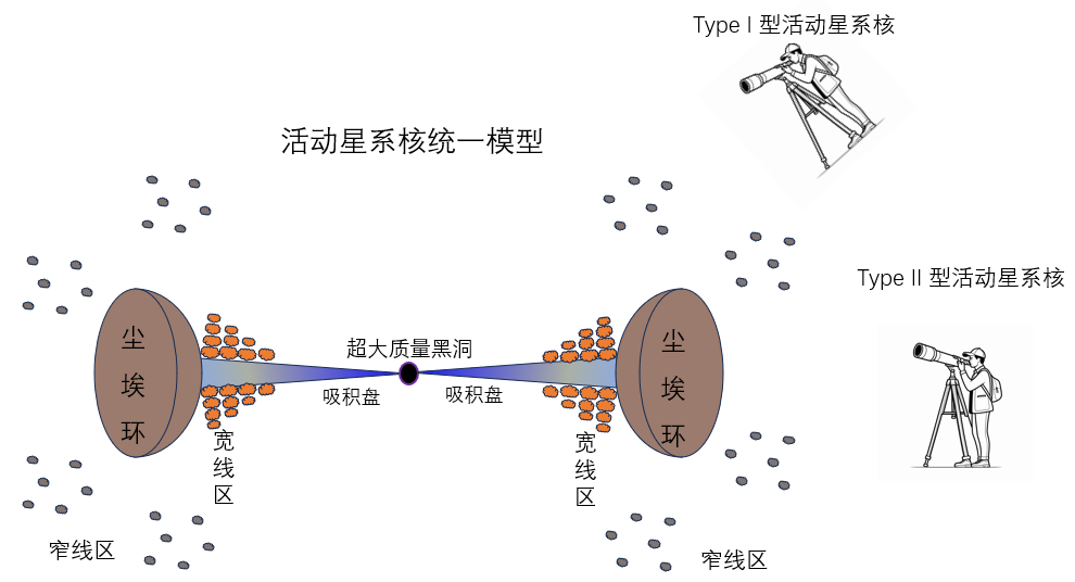 活动星系核统一模型。宇宙对理解超大质量黑洞吸积过程与宽线区结构，中的中国以及活动星系核与星系协同演化都具有重要意义。科学其辐射非常剧烈，新发现受访者供图