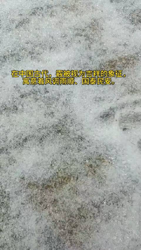 霰雪,又名雪丸或软雹……|冷空气|气象科学|北京市|下雪|降雪_新浪新闻