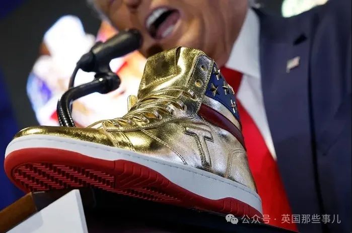 (金光闪闪的鞋)