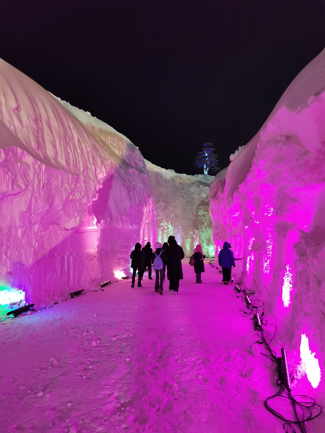 项目收入超千万,67长春北湖·秘境雪谷这个雪季有活力_新浪财经