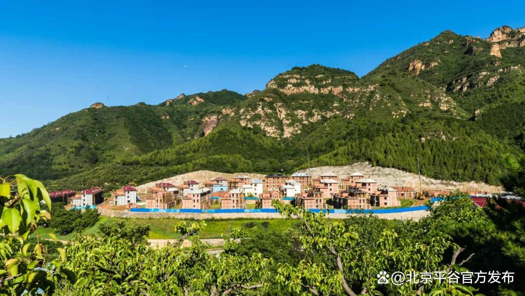 平谷区镇罗营镇桃园村88户村民将喜迁新居|乡村振兴_新浪财经_新浪网