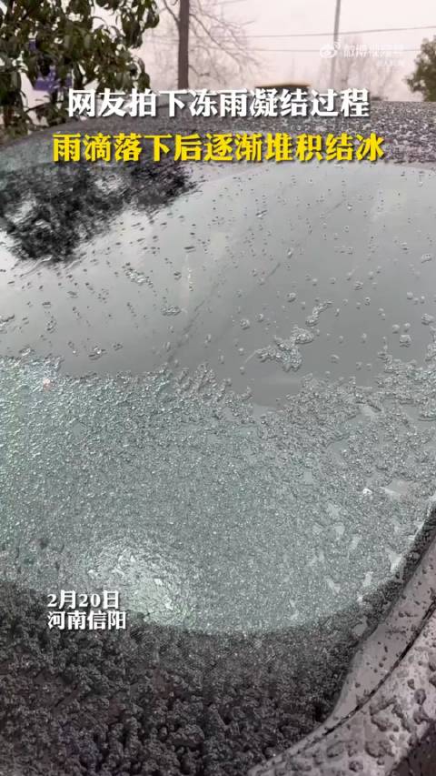 豫团分享 网友拍到冻雨结冰全过程|冻雨|信阳市|开学季_新浪新闻