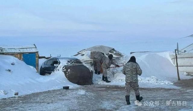 蒙古国遭受近50年不遇雪灾，入冬来已损失至少66万头牲畜