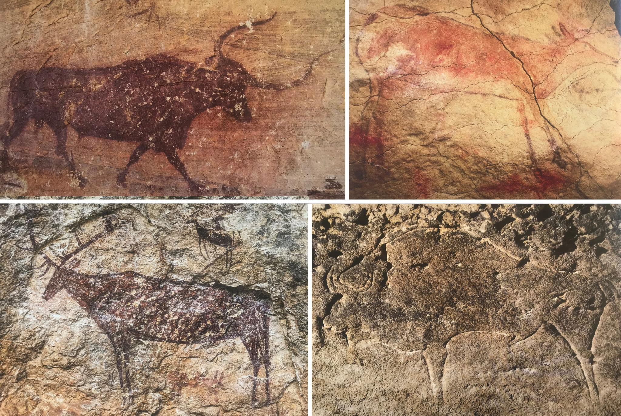 这个测年的意义不仅在于证实了亚洲地区旧石器时代晚期岩画的古老性