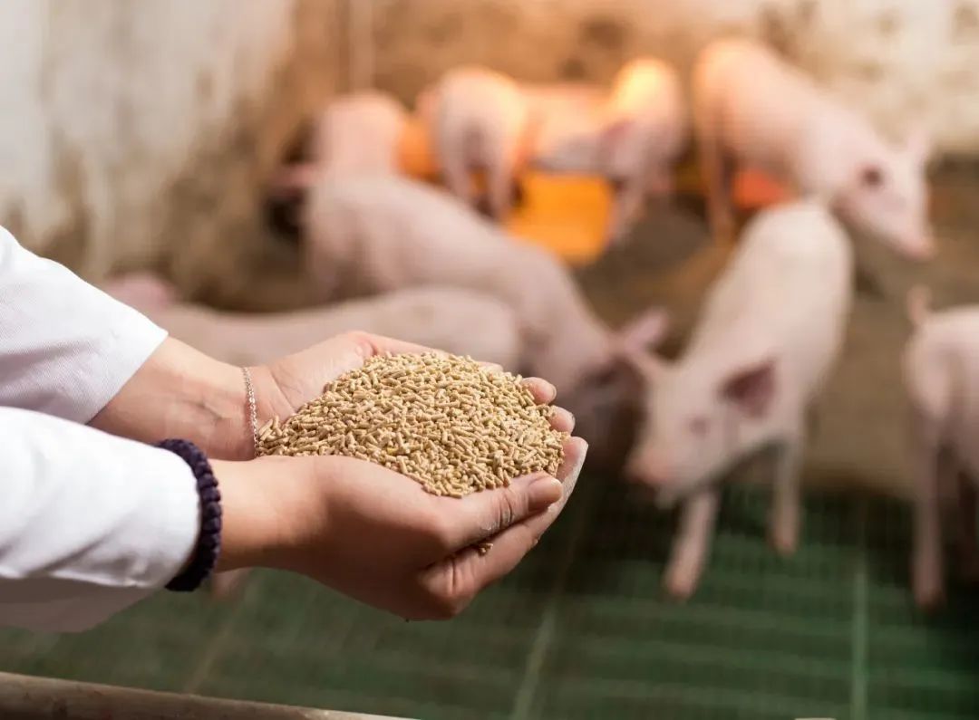 ▲中国中化旗下安迪苏生产的蛋氨酸等动物营养产品，可提高饲料利用效率